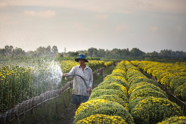 Irrigation Water
